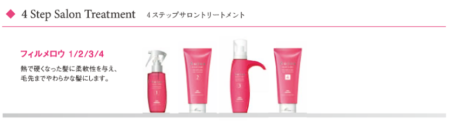 4ステップサロントリートメント