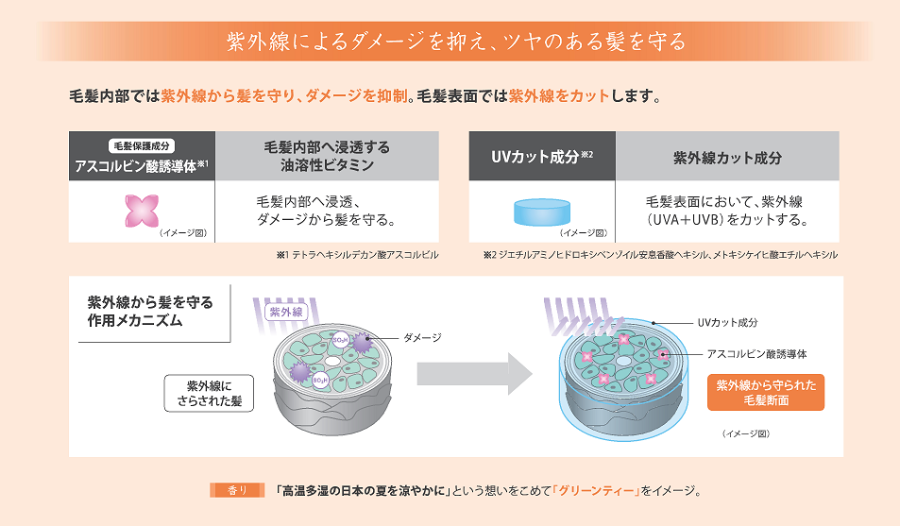 UVカット成分