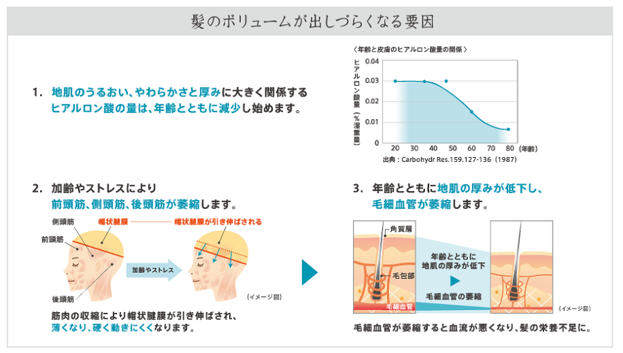 髪のボリュームが出しづらくなる要因