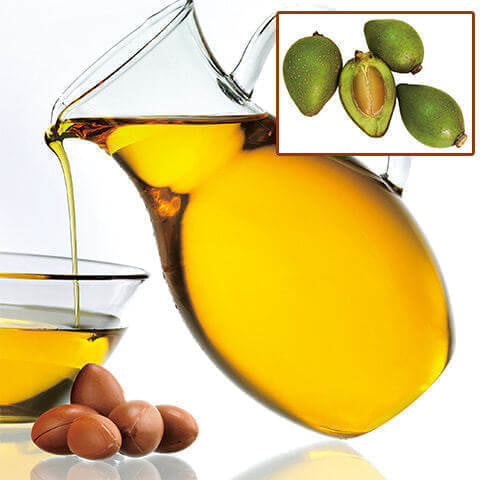 宮崎市｜アルガンオイルとは