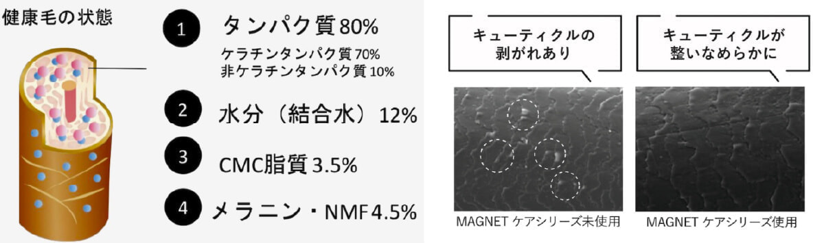 宮崎県|宮崎市|でマグネットカラー