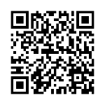 髪のカウンセリング