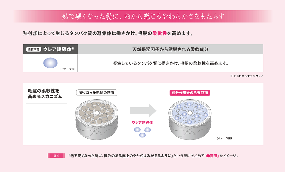 熱で硬くなった髪に、深みのある極上のツヤがよみがえるように