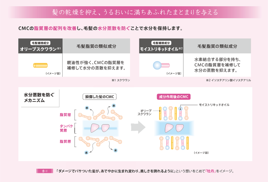 CMCの損傷による影響