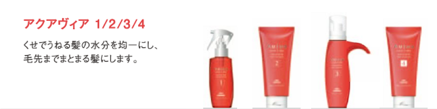 アクアヴィアサロントリートメント