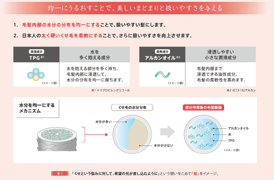 水分を均一にするメカニズム