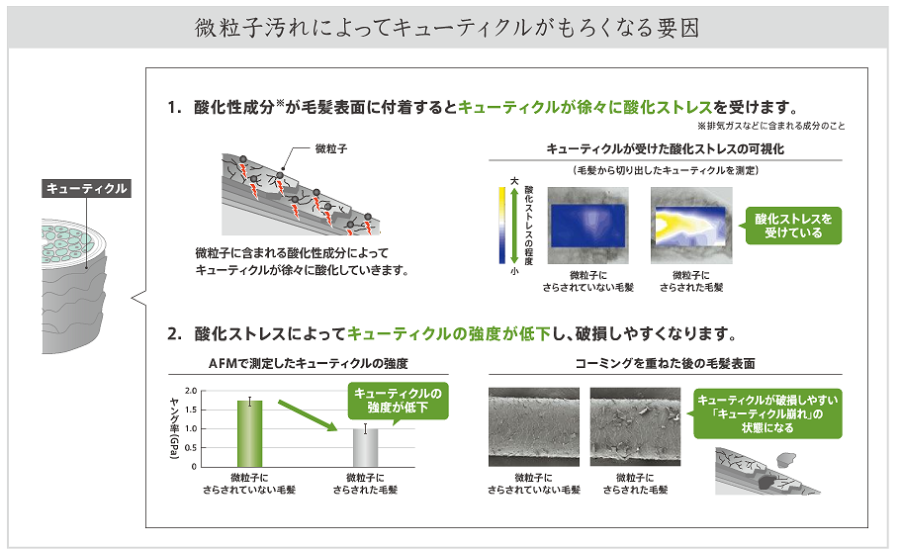 微粒子汚れによってキューティクルがもろくなる要因