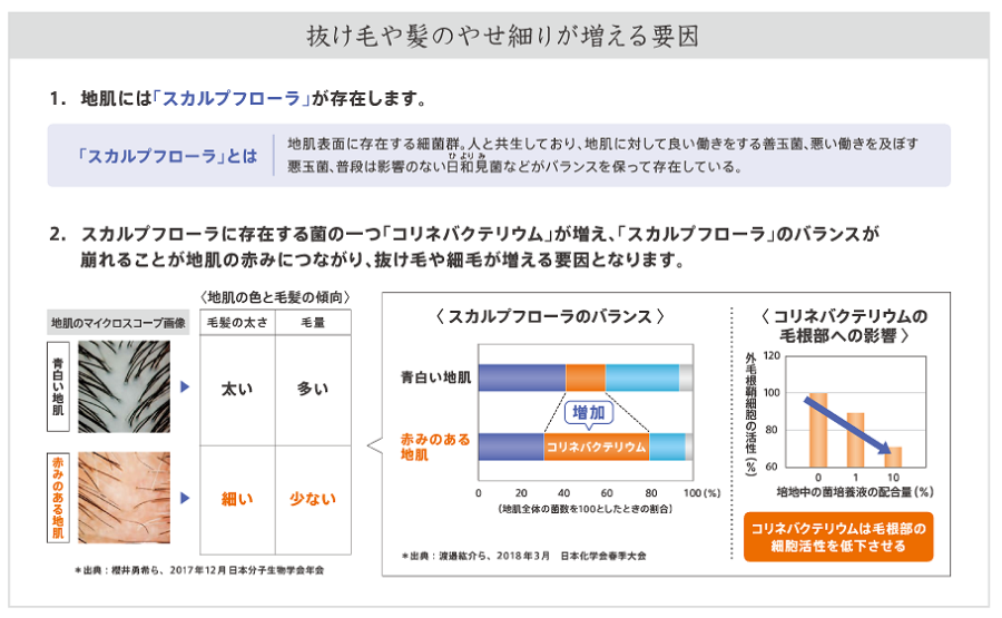 抜け毛や髪のやせ細りが増える要因